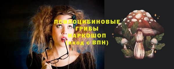 ПСИЛОЦИБИНОВЫЕ ГРИБЫ Алексеевка