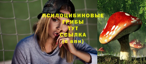 ПСИЛОЦИБИНОВЫЕ ГРИБЫ Алексеевка