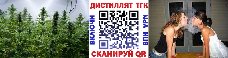 магазин    Завитинск  ТГК концентрат 