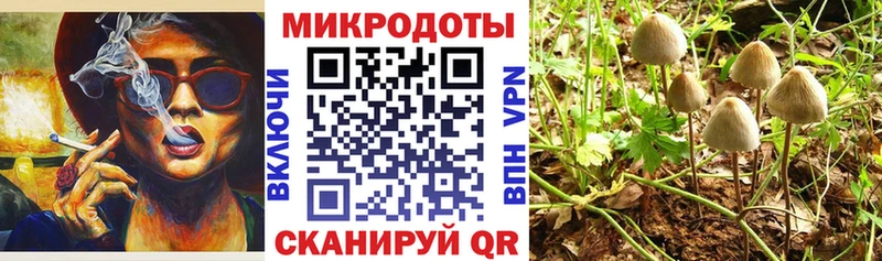 mega ссылки  закладка  Завитинск  Псилоцибиновые грибы Magic Shrooms 